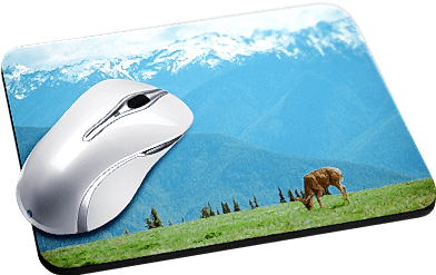 Печать на ковриках для мыши